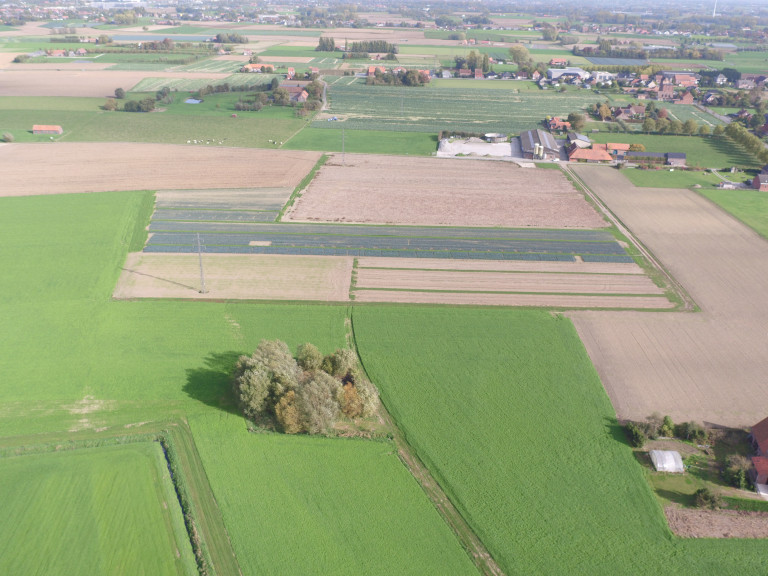 Luchtfoto godelievegronden