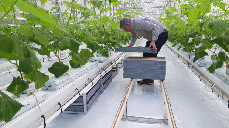 Entomoponics_Agrokom2