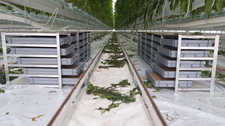 Entomoponics_Husagro2