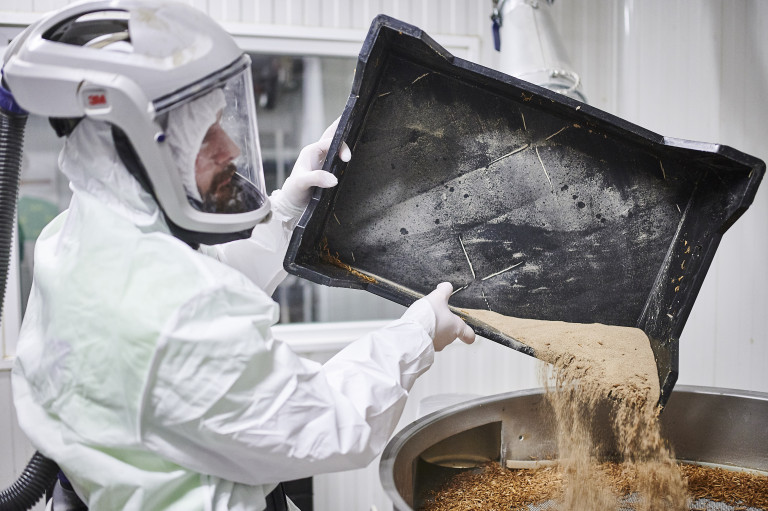 sorteren en zeven van insecten