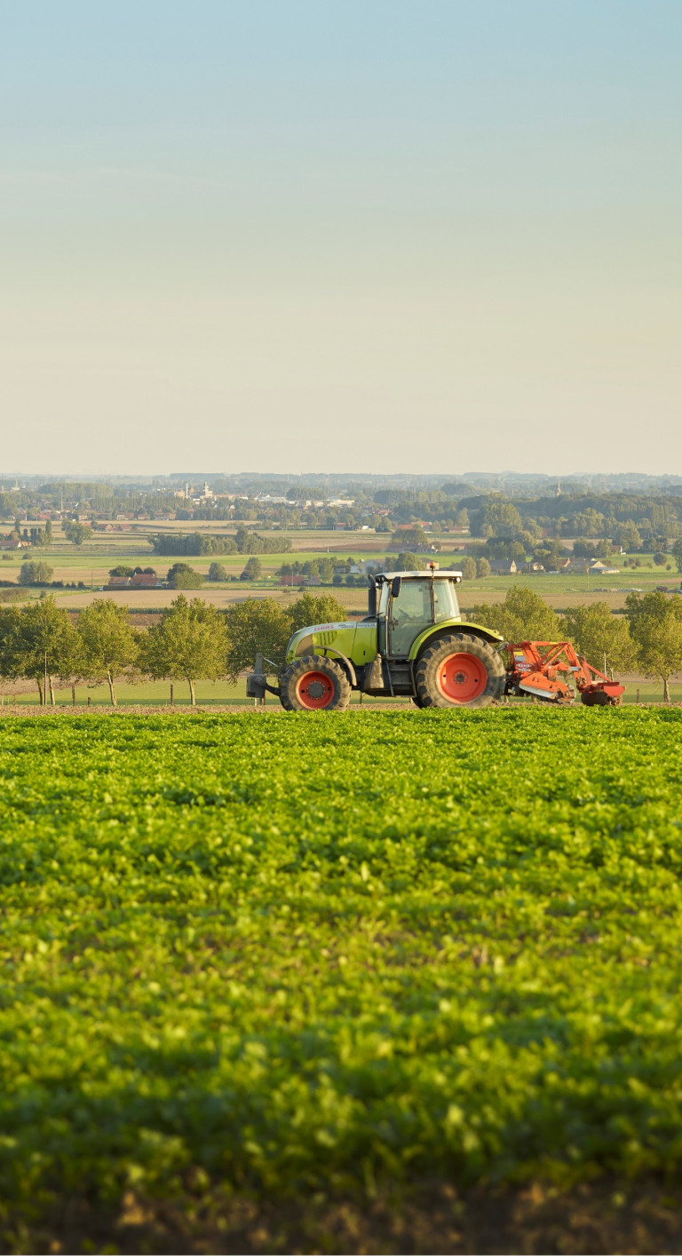 Sfeerbeeld tractor veld