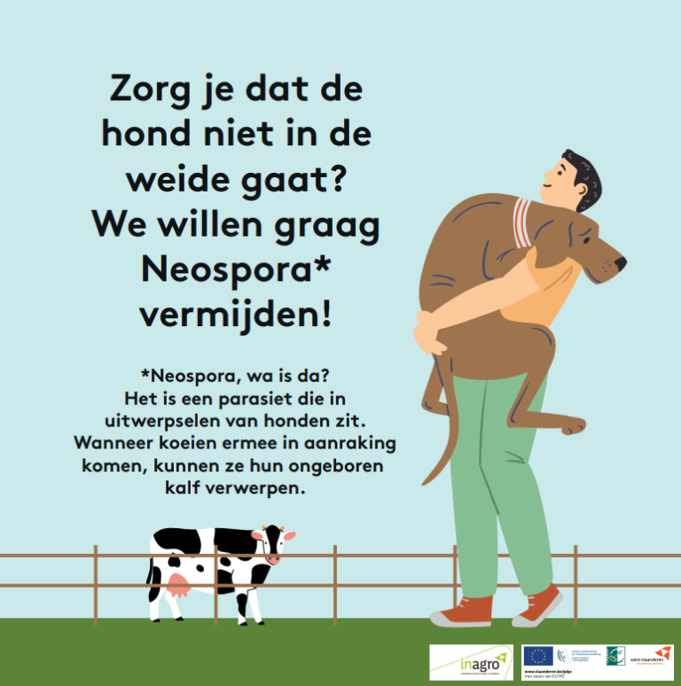 arbeid melkvee bord Neospora weide bioveiligheid