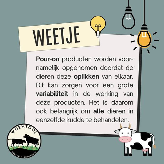 wormtool weetje pour-on