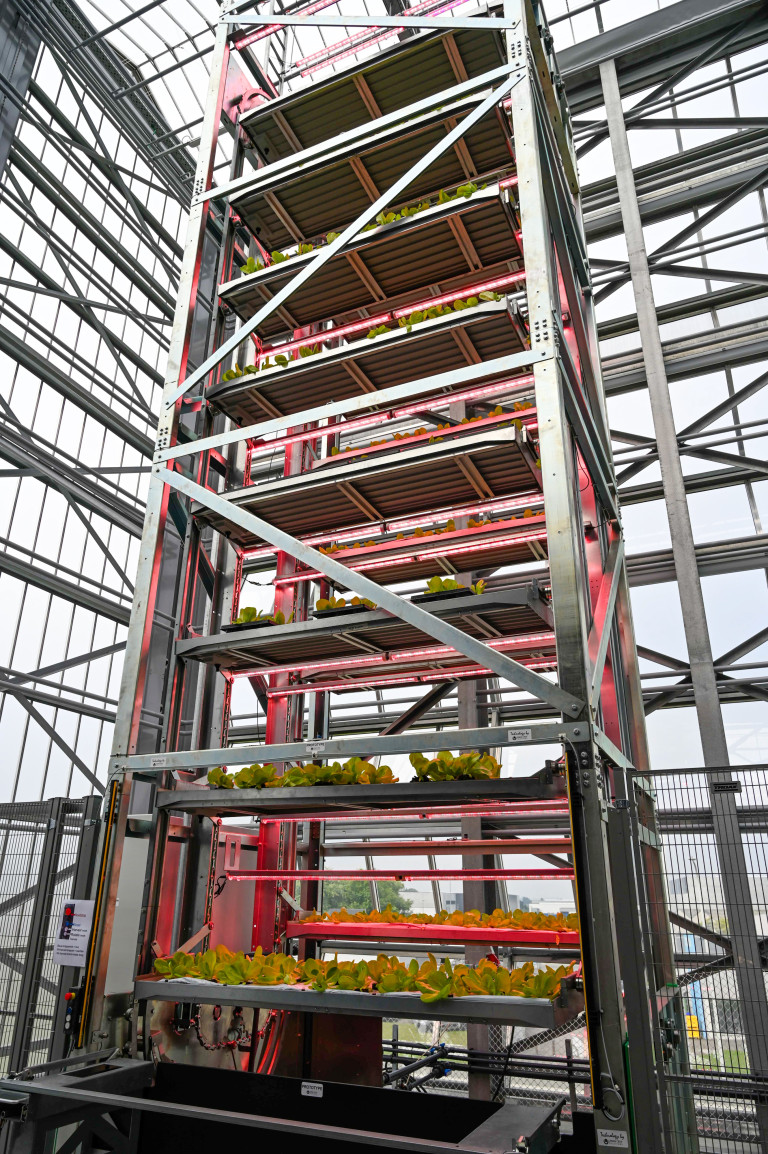 verticalfarmingtoren