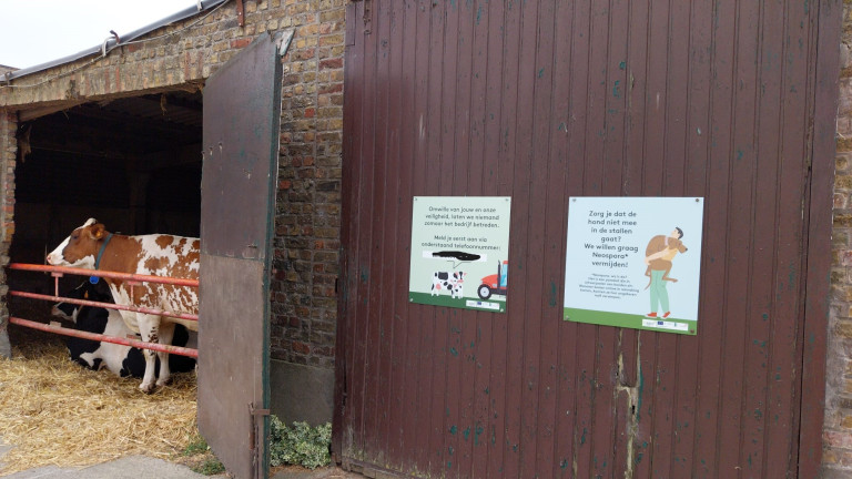 koe stal bord bioveiligheid aanmelden neospora arbeid