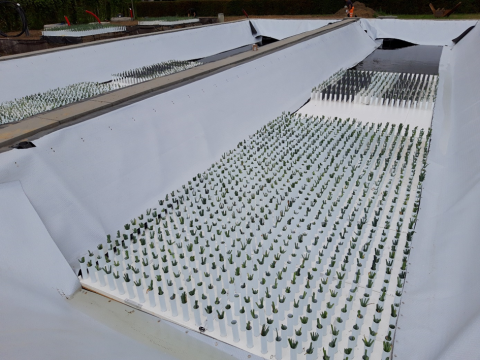 Prei op dragers pilootinstallatie