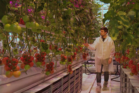 Agrotopia op PlattelandsTv