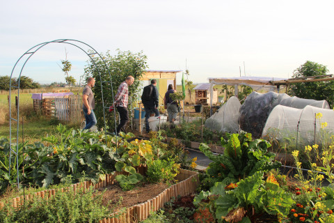 Bezoek Agroforestry