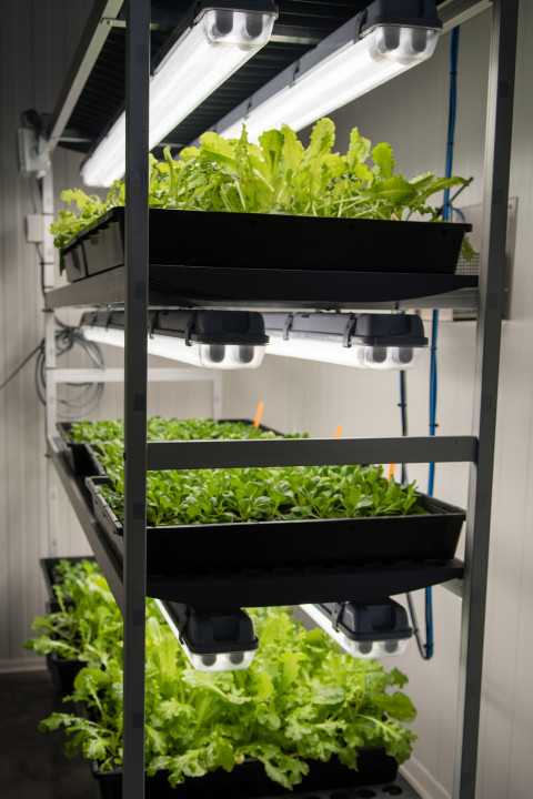 klimaatkamer - climate chamber