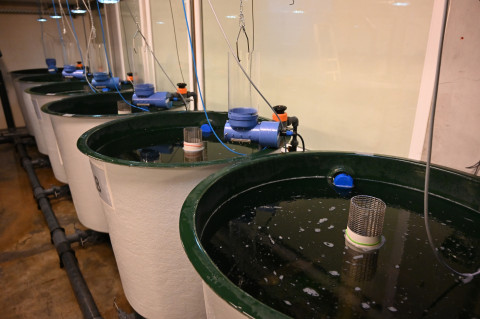 aquaculture research facility